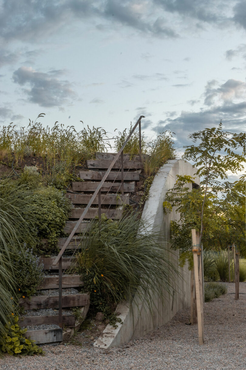 Concrete steps with a metal railing ascend alongside overgrown vegetation, against a cloudy sky.