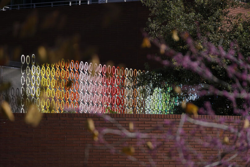 A colorful outdoor art installation with overlapping rings in front of a brick wall, partially obscured by trees with pink and yellow leaves.