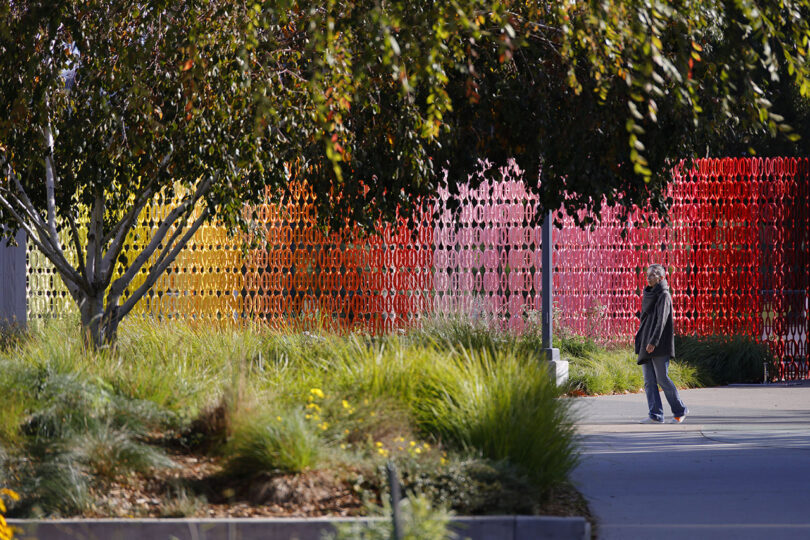 Person walks on a pathway bordered by grass, with a colorful red and yellow patterned fence and overhanging trees.