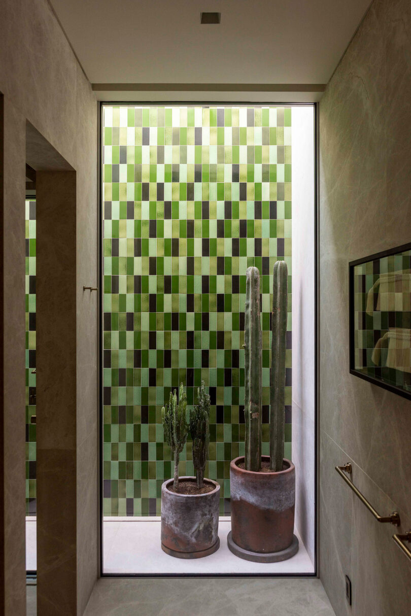 View of large window showcasing two potted cacti and a tiled green mosaic wall, with partial room interior visible.