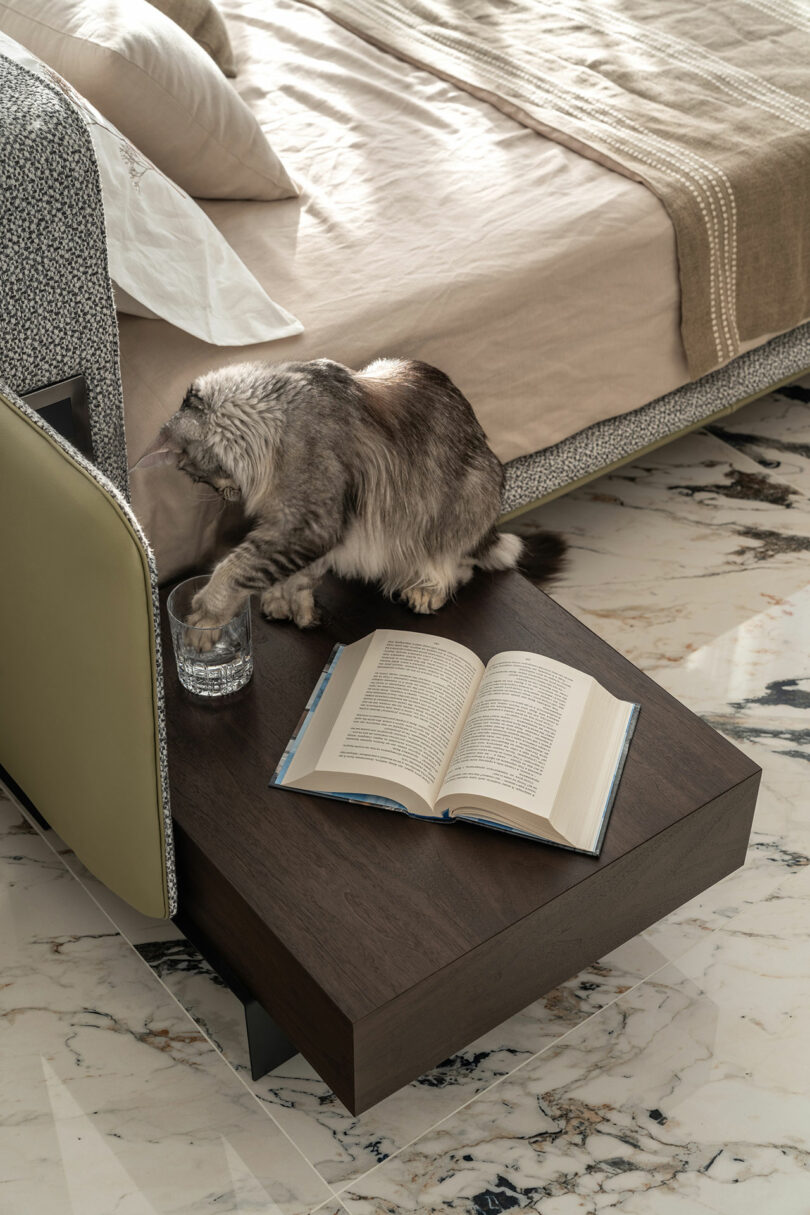 Cat pawing at a glass of water on a bedside table next to an open book, with a bed in the background.