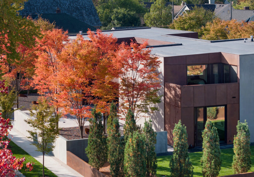 Modern house with large windows and brown exterior, surrounded by trees with vibrant autumn foliage and a well-manicured lawn.