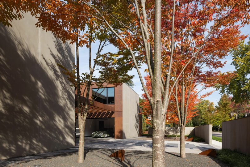 Modern building with large, flat walls surrounded by trees with autumn foliage. A driveway leads to the entrance, and sunlight casts shadows on the ground.