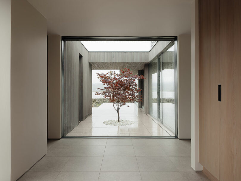 A minimalist indoor courtyard with a single small tree surrounded by a circular stone design, enclosed by large glass windows and light gray walls.