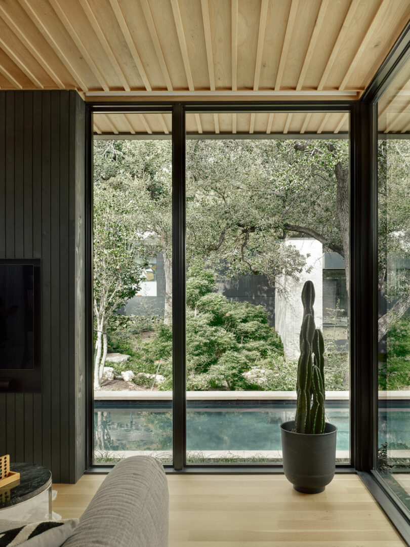 Living room with large windows overlooking a garden and pool. A tall potted cactus is by the window. Light wood ceiling and floor, and a dark wall with a TV are visible.