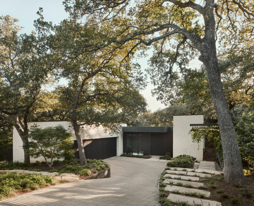 Modern house with a mix of white and dark exteriors surrounded by trees. A paved driveway leads to the entrance, with steps on the right side surrounded by greenery.