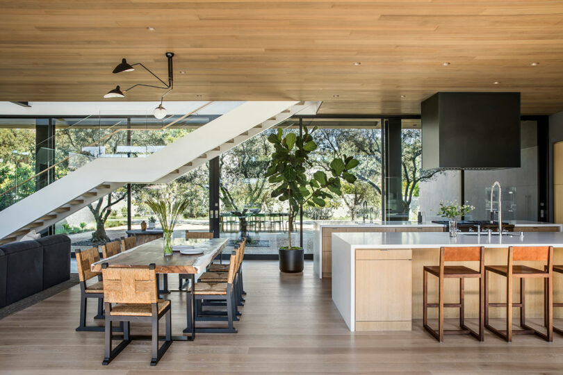 Modern open-plan kitchen and dining area with wooden ceiling and flooring, large windows, an island with bar stools, a dining table with chairs, and indoor plants.