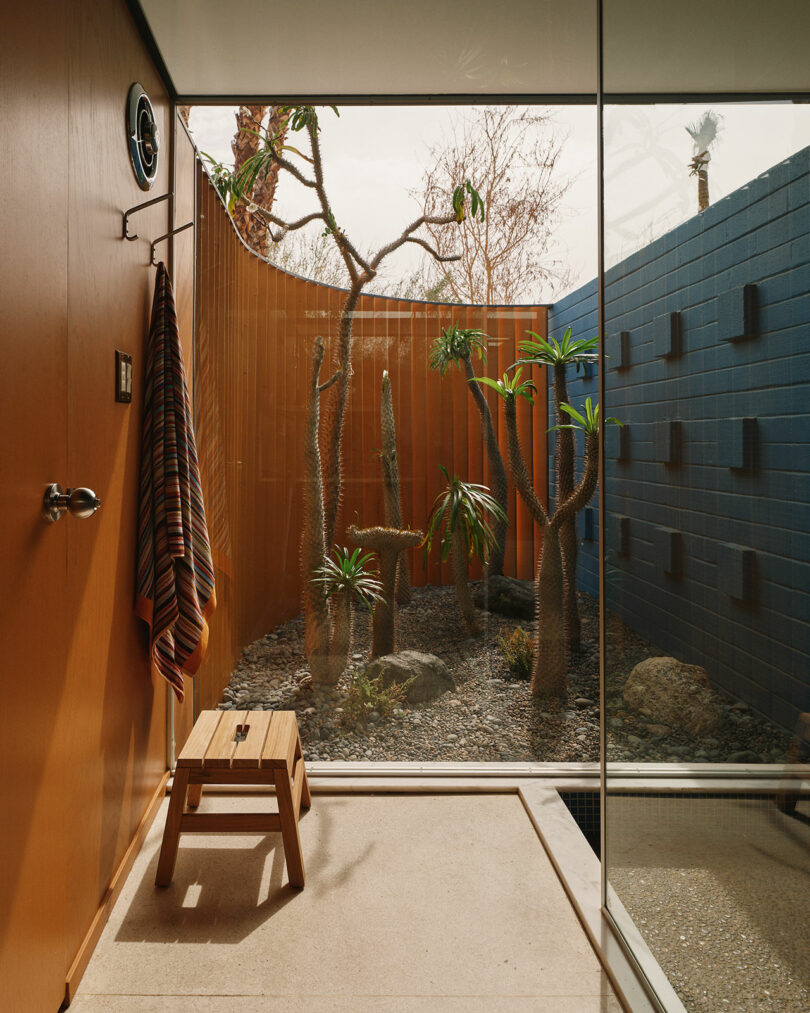 A modern bathroom with glass walls overlooks a small enclosed desert garden featuring various cacti and succulents. A striped towel hangs on the wall beside a small wooden stool.