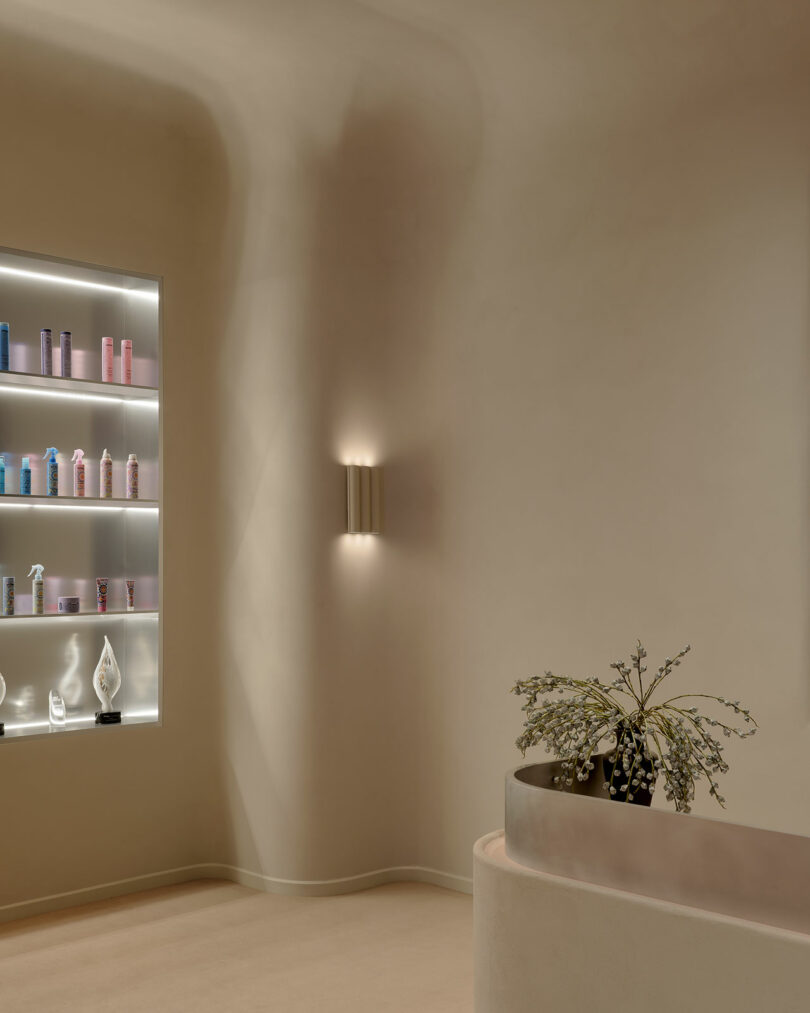 Minimalist interior with curved beige walls, a built-in shelf displaying beauty products, a wall sconce, and a counter holding a potted plant.