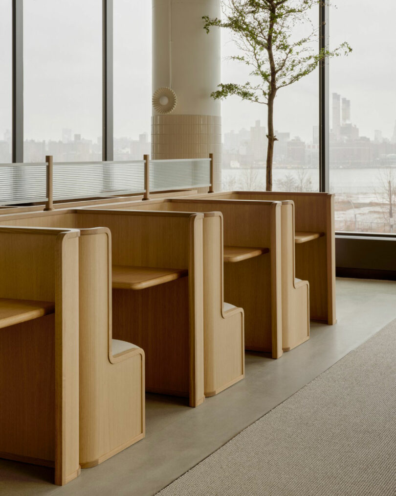 Three light wood study booths are arranged in a row by large windows, with a potted tree and cityscape visible in the background.