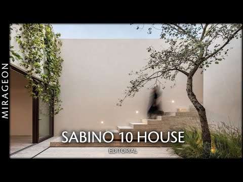 Redefining Spatial Boundaries on a Narrow Plot | Sabino 10