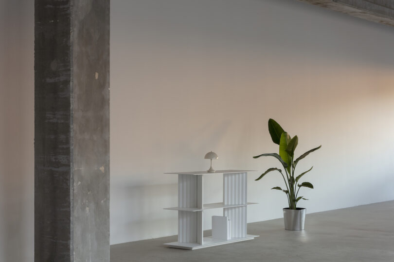 Minimalist interior with a white shelf holding a small lamp against a plain wall. A potted plant stands beside it on a concrete floor