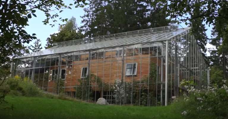 Swedish Family Encloses Entire Home in Greenhouse Glass to Create Year-Round Warmth