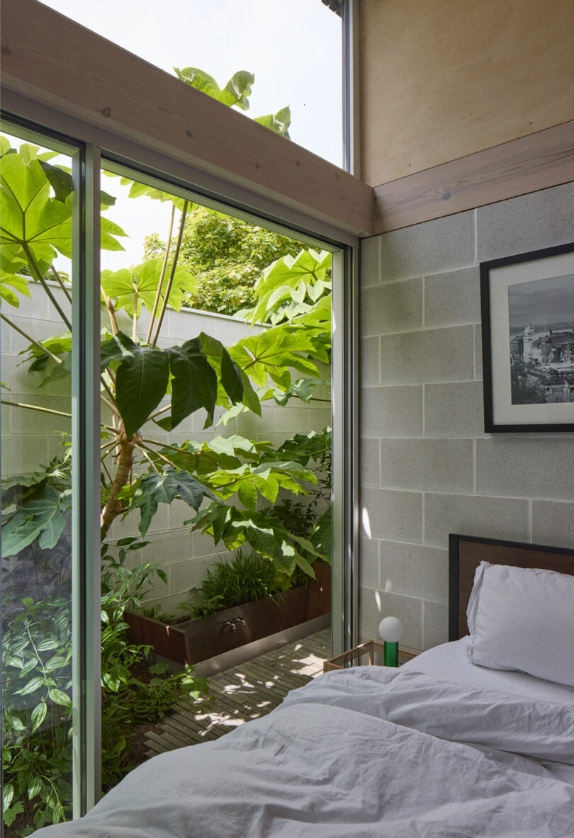 A bedroom with unmade white bedding next to large windows overlooks a small garden with leafy green plants and a concrete block wall.