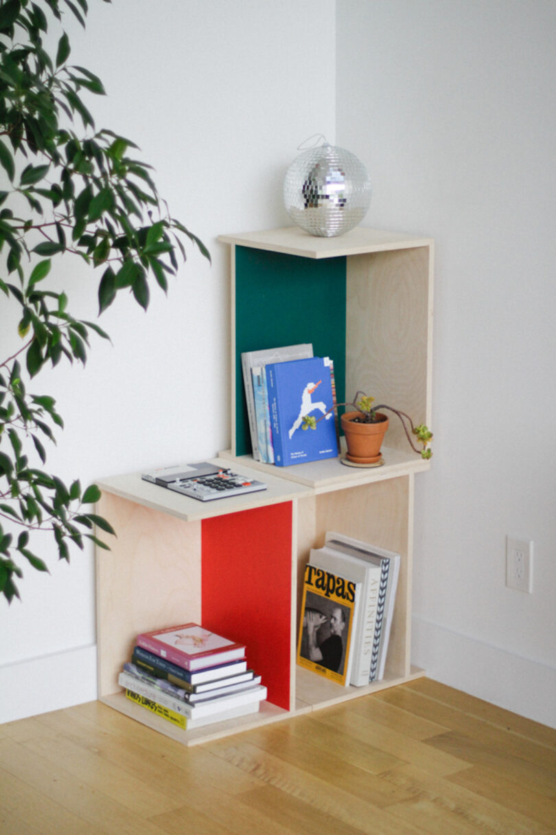 Wooden shelves by Elements Studio with colorful back panels hold books, a potted plant, magazines, and a disco ball, set against a white wall and light wood floor with a leafy plant nearby