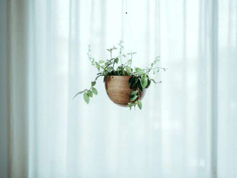 NECKTIE Presents a Hanging Planter That Feels Weightless