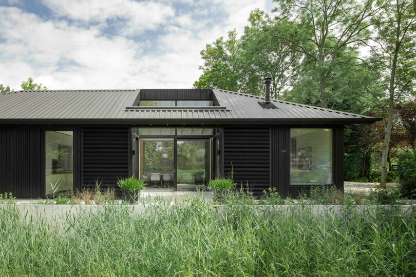 Modern single-story house with a dark exterior, large windows, and a landscaped yard with tall grass in the foreground.