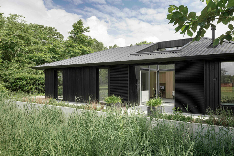 Modern single-story house with black exterior siding, large glass windows, and a sloped metal roof, surrounded by tall grass and lush greenery under a partly cloudy sky.