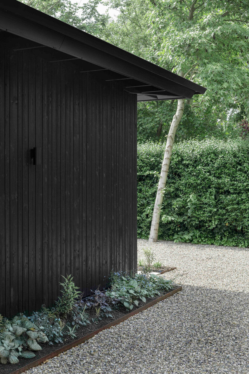 A modern black wooden building with vertical paneling sits beside a small border garden, gravel path, and tall green hedges under leafy trees.