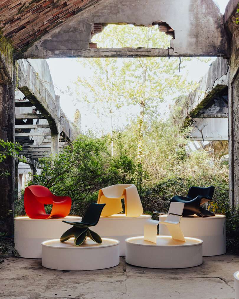 Four modern, colorful chairs are displayed on round white platforms inside a dilapidated, overgrown building with sunlight streaming through broken roof sections.