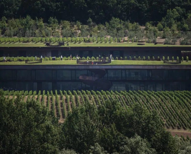 Antinori in Chianti Classico Winery in Tuscany