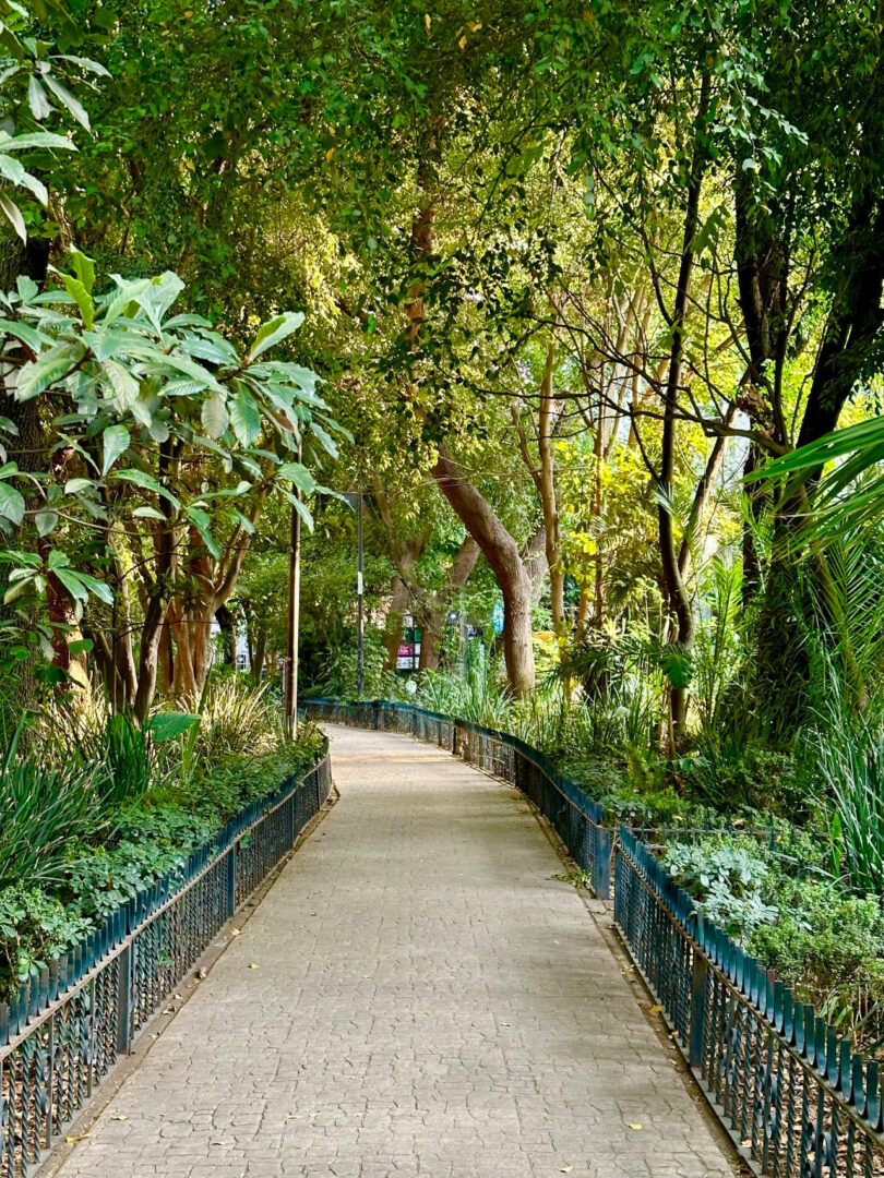 A paved pathway lined with green metal railings runs through a lush, leafy park with trees and dense vegetation on both sides.