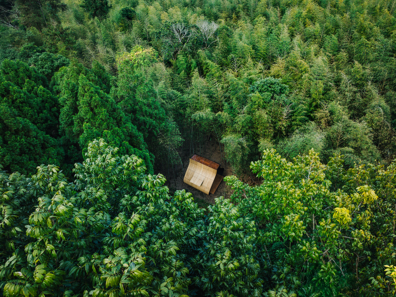 Bamboo Cabin Plan: Sticky Rice Dumpling by Taiwanese artist Cheng Tsung Feng