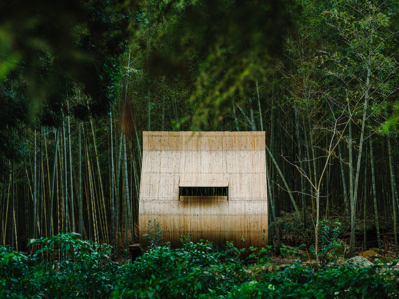 Bamboo Cabin Plan: Sticky Rice Dumpling by Taiwanese artist Cheng Tsung Feng