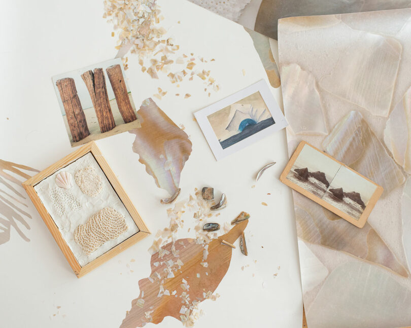 A flat lay of seashells, shell fragments, two photos of landscapes, a postcard with wooden posts, and textured papers arranged on a neutral background