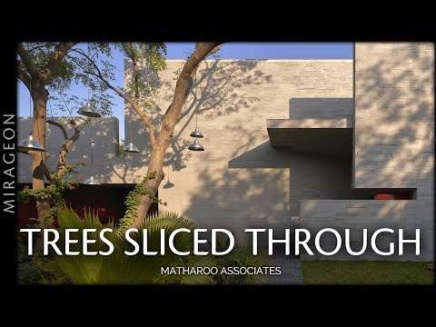 For Family Living in Open Courtyards | Trees Sliced Through House