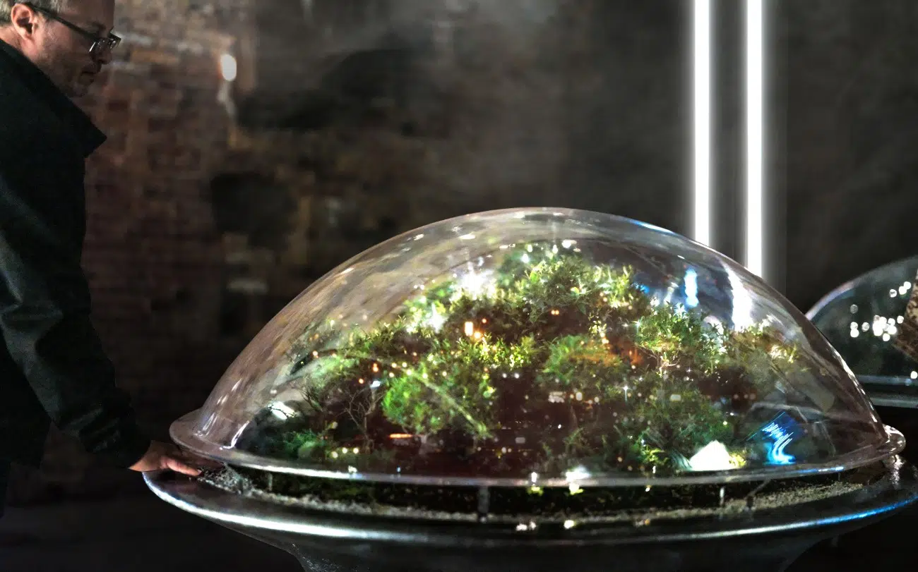 City of Plants by MAD Architects at the Venice Architecture Biennale