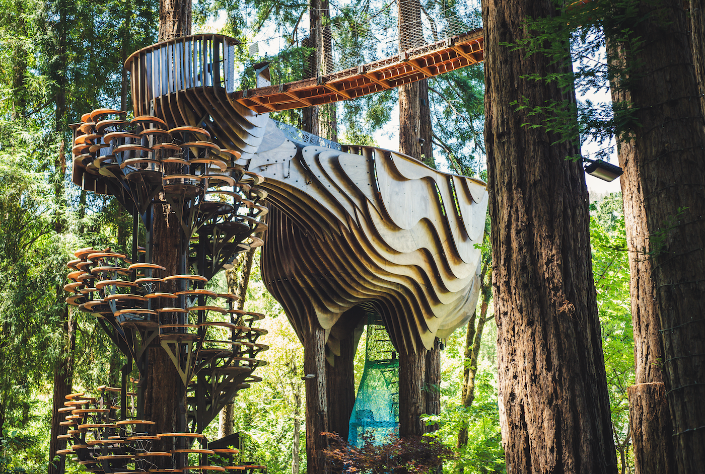 Redwood Ripple Treehouse by O2 Treehouse