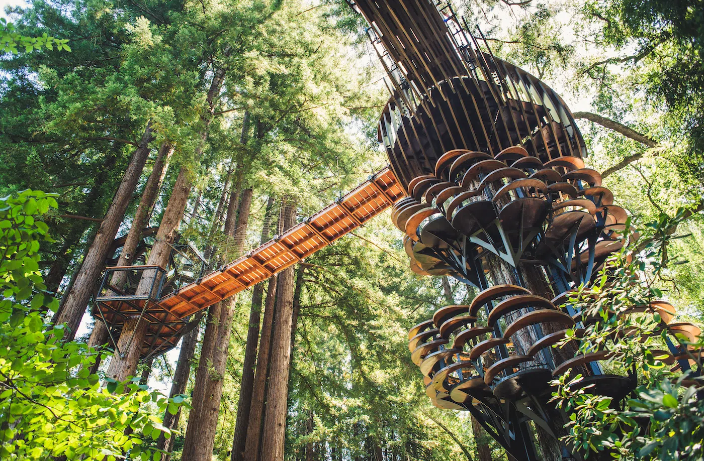Redwood Ripple Treehouse by O2 Treehouse