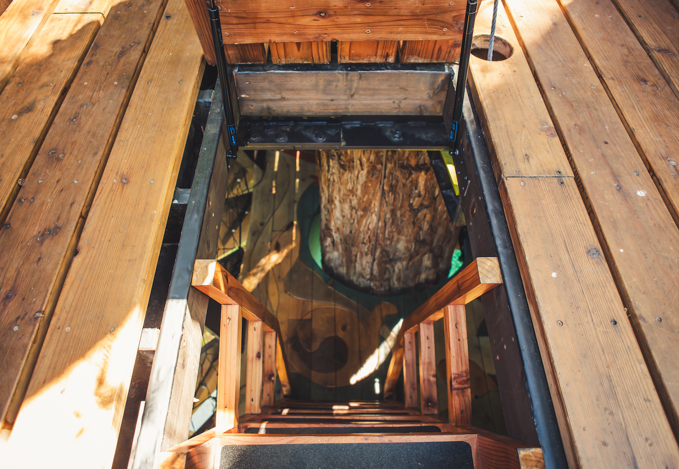 Redwood Ripple Treehouse by O2 Treehouse
