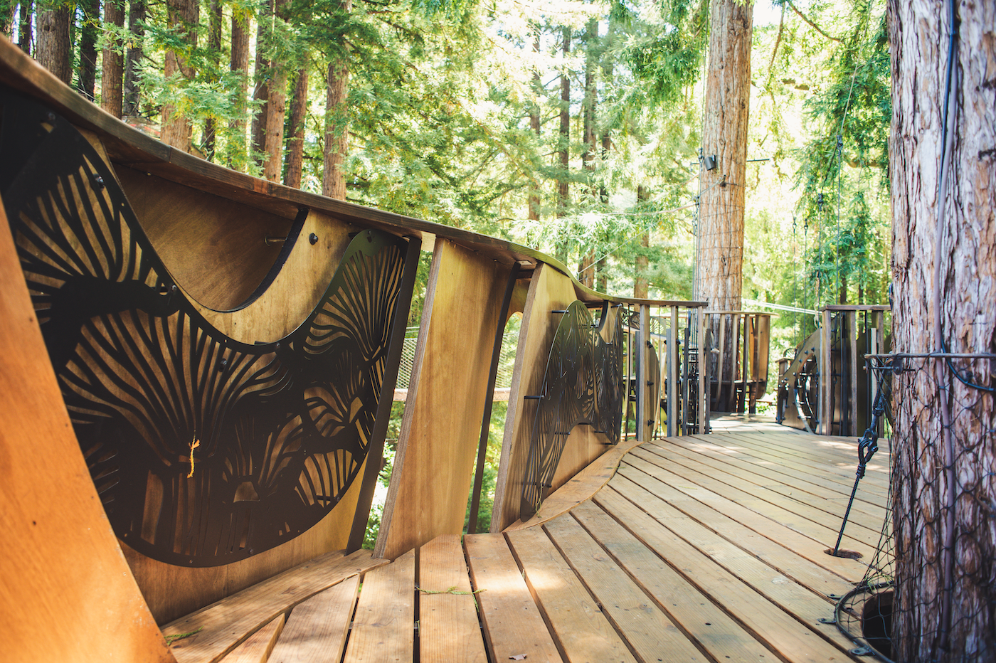 Redwood Ripple Treehouse by O2 Treehouse