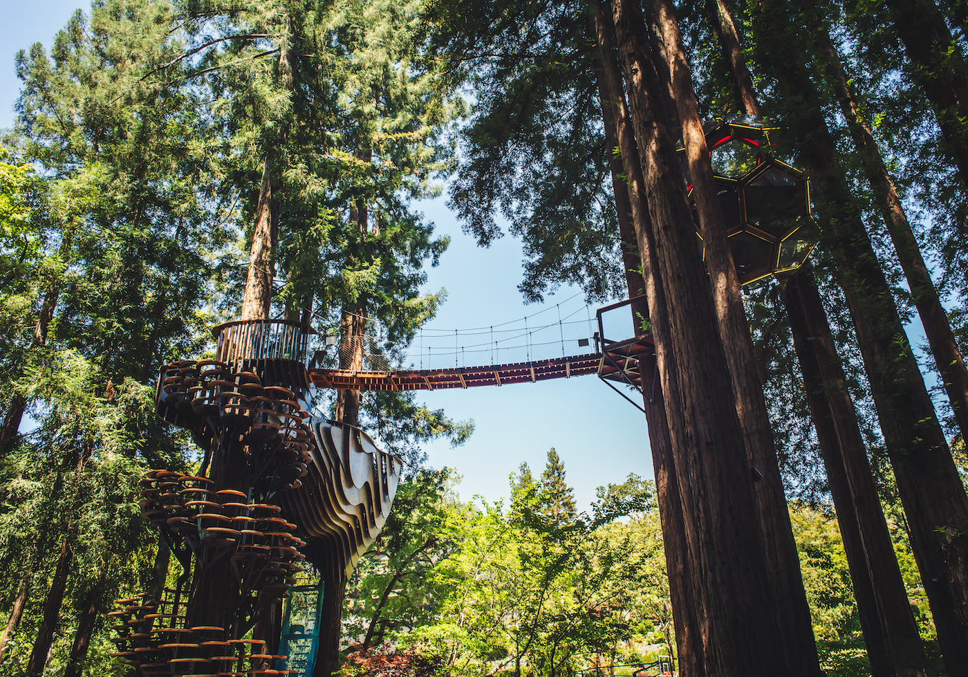 Redwood Ripple Treehouse by O2 Treehouse