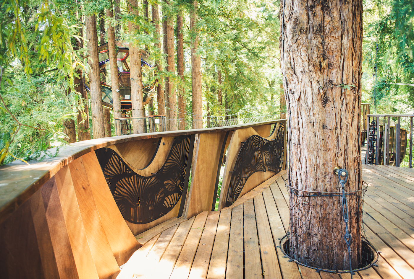 Redwood Ripple Treehouse by O2 Treehouse