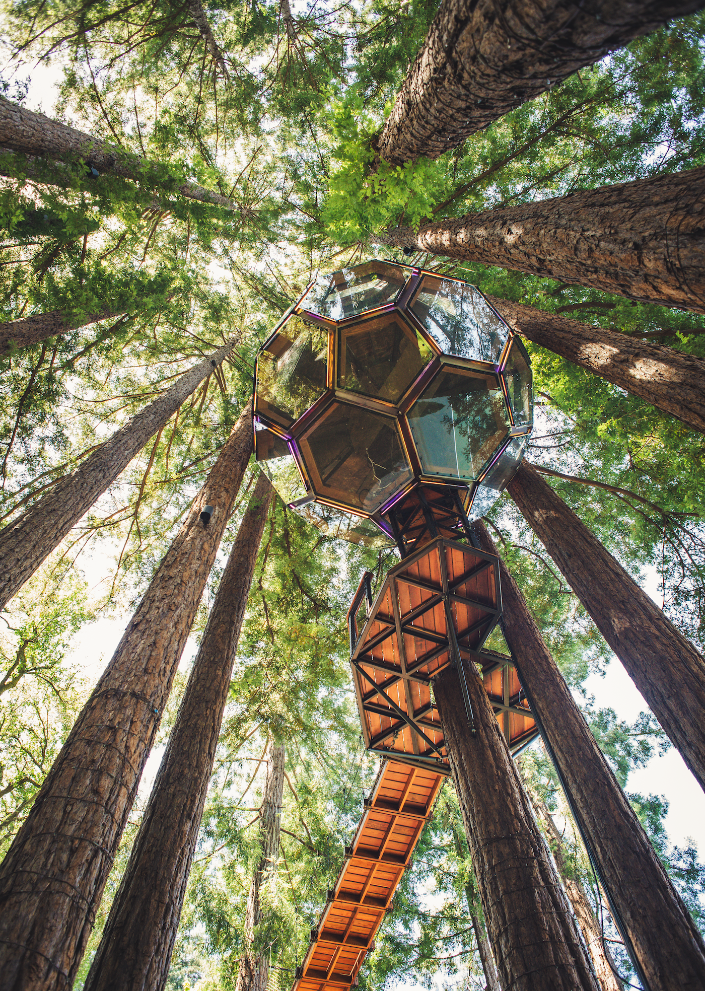 Redwood Ripple Treehouse by O2 Treehouse