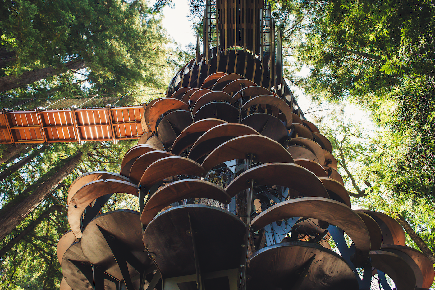 Redwood Ripple Treehouse by O2 Treehouse