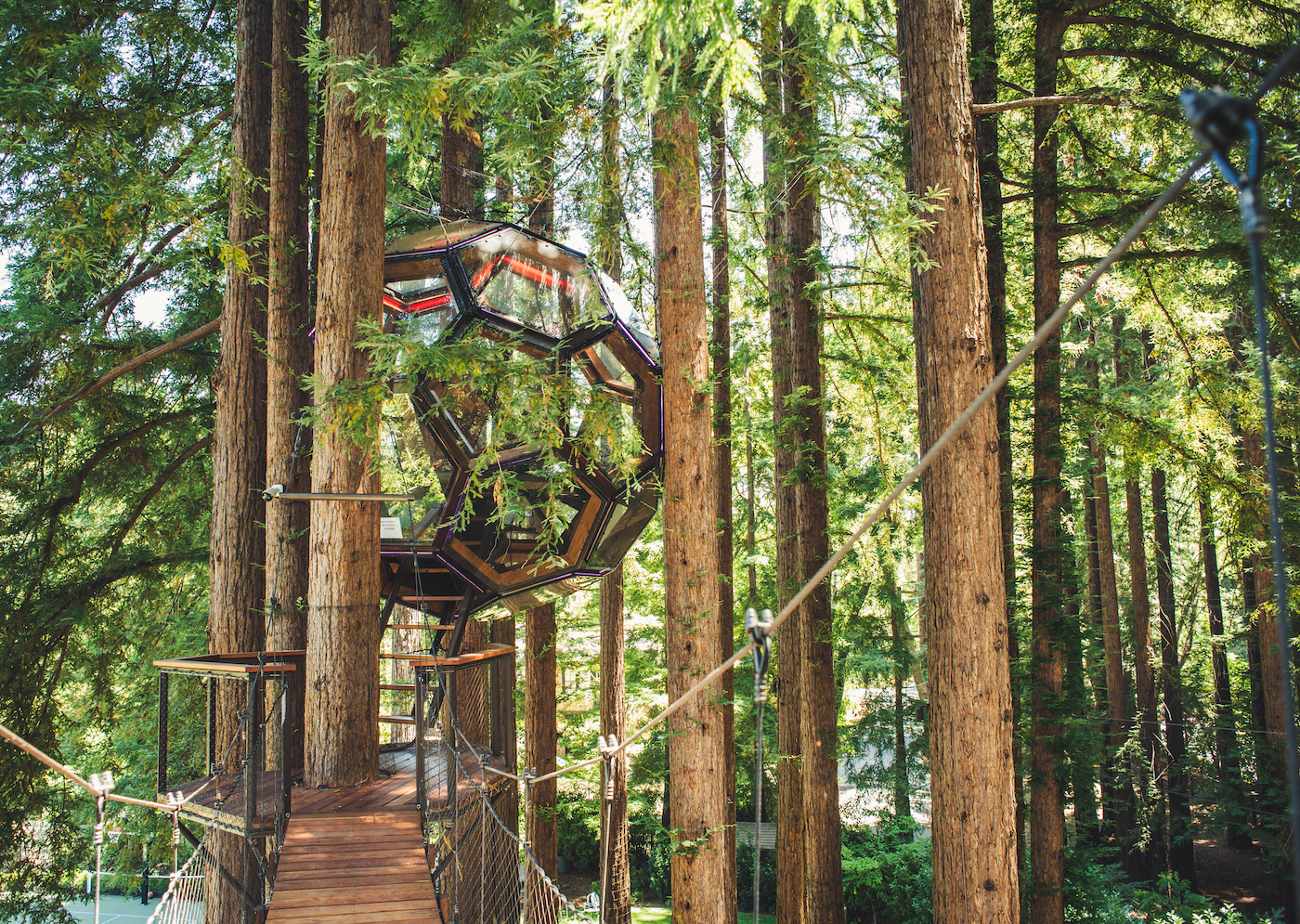 Redwood Ripple Treehouse by O2 Treehouse