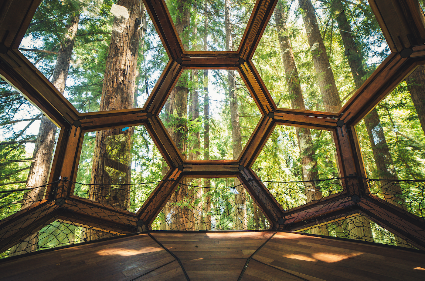 Redwood Ripple Treehouse by O2 Treehouse