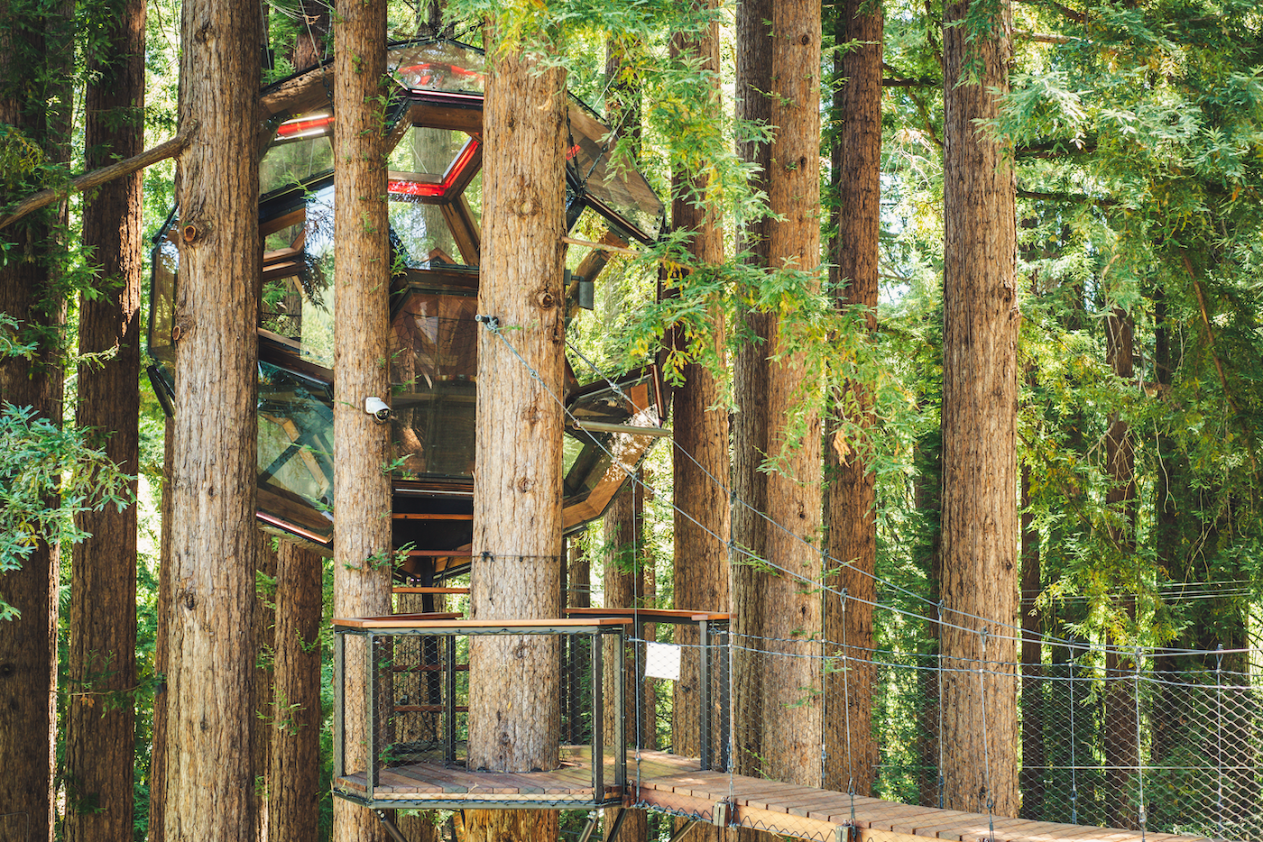 Redwood Ripple Treehouse by O2 Treehouse