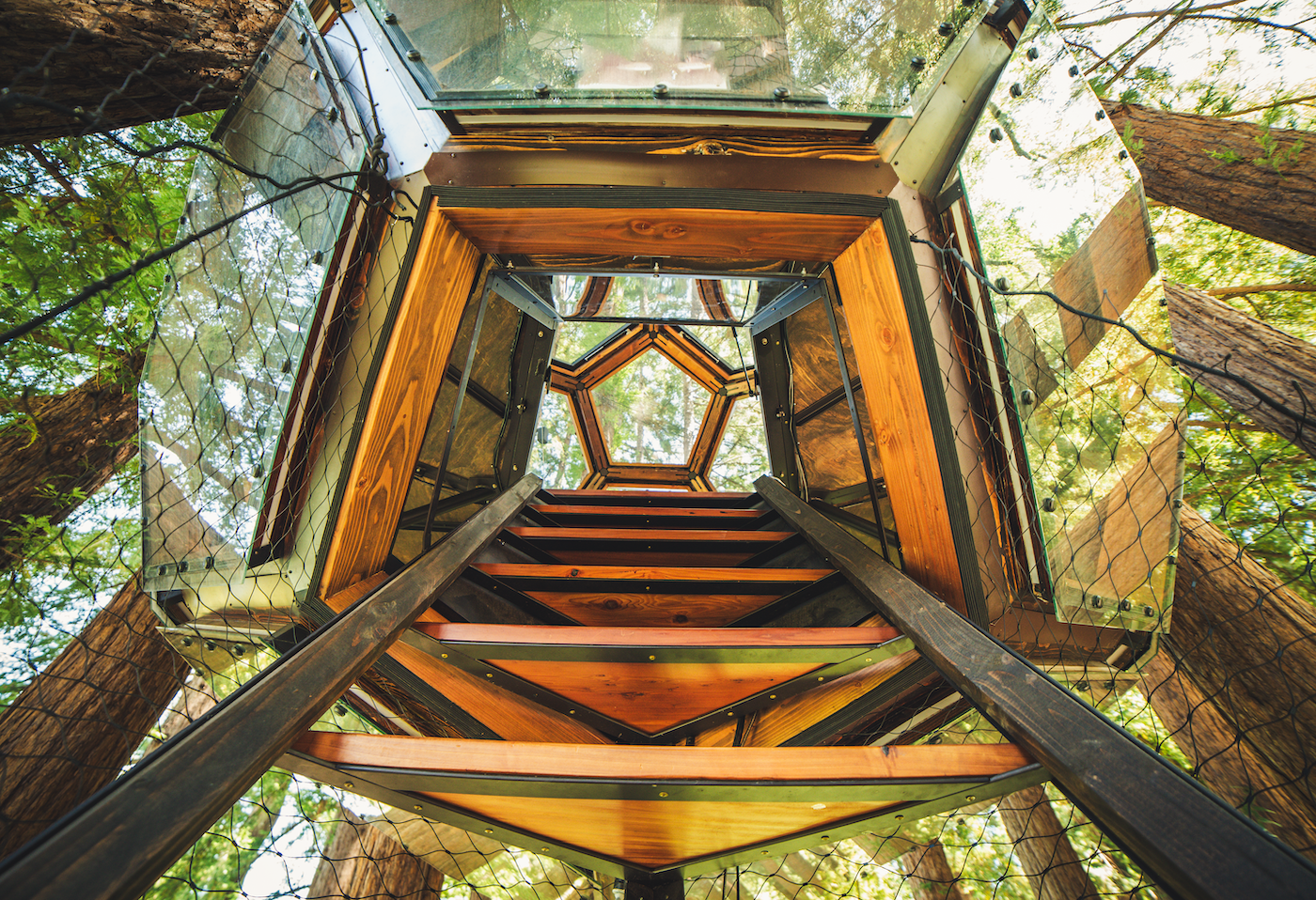 Redwood Ripple Treehouse by O2 Treehouse