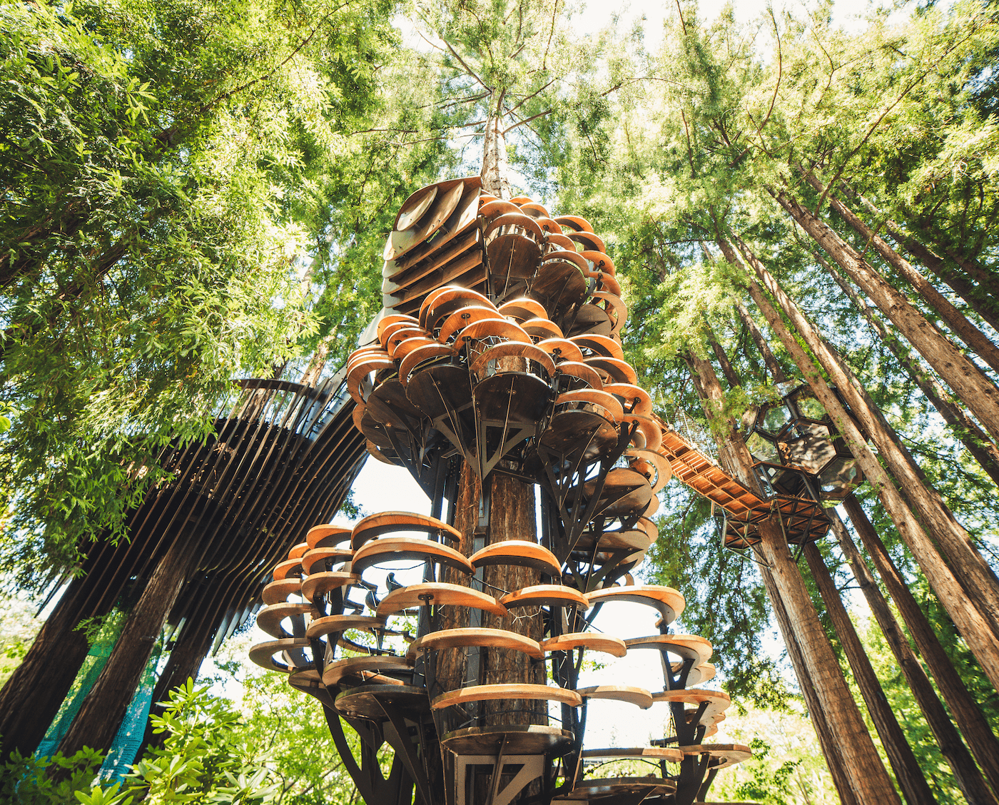 Redwood Ripple Treehouse by O2 Treehouse