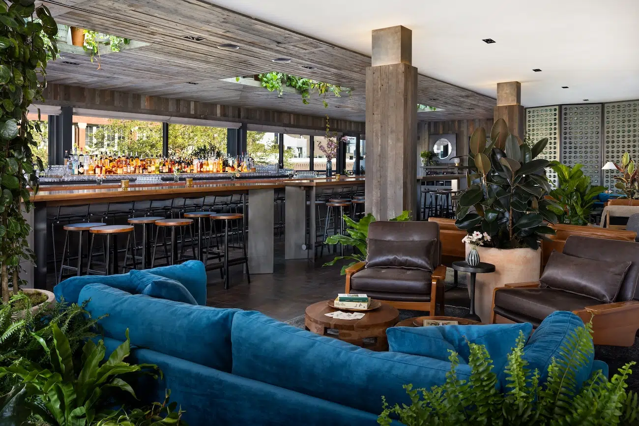 Populus Seattle