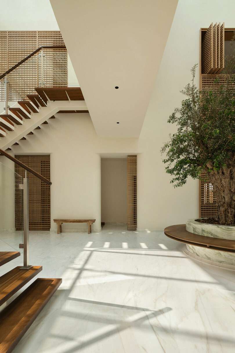 A modern interior space with wooden stairs, a marble floor, a built-in bench, and an indoor tree surrounded by a circular planter.