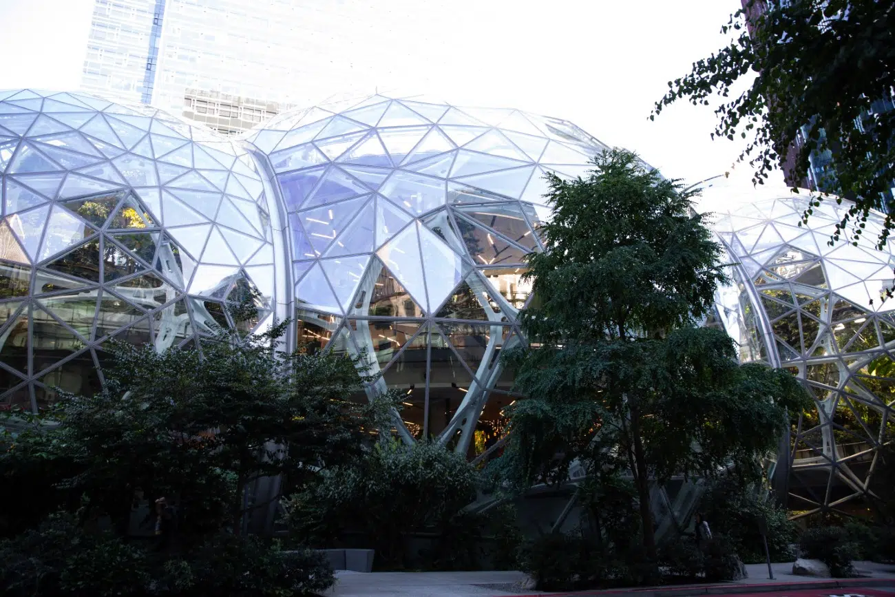 Amazon Spheres