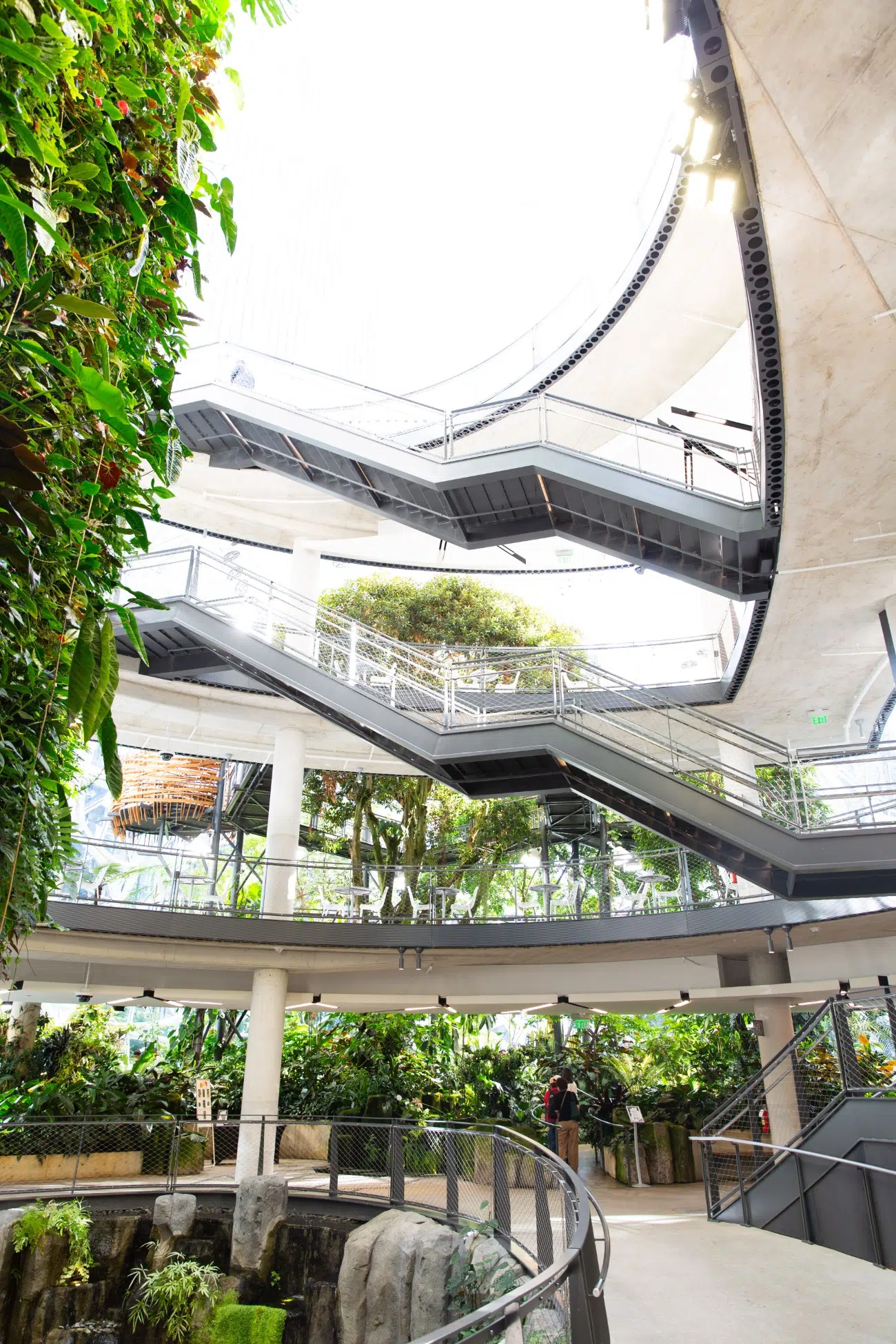 Amazon Inside the Spheres