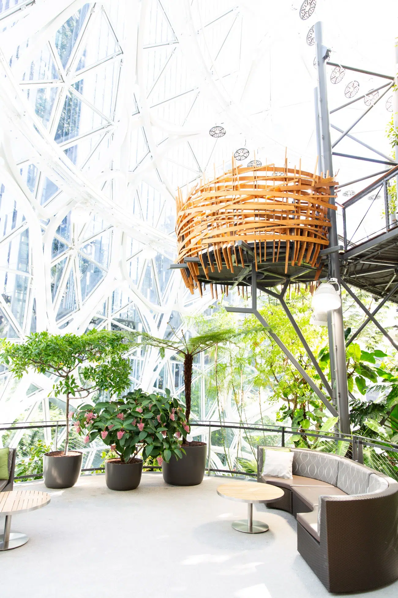 Amazon Inside the Spheres