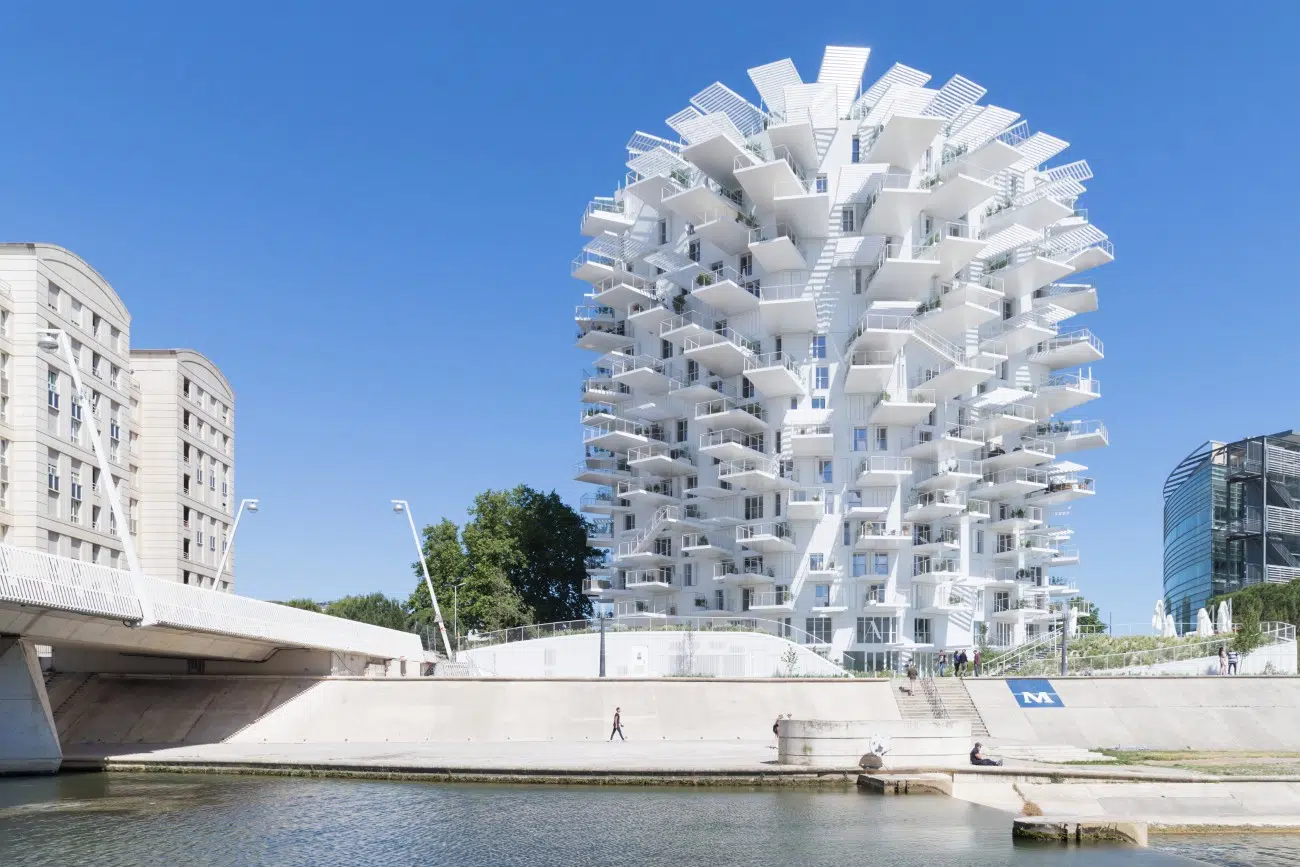The White Tree by Sou Fujimoto